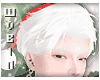 🐁 Red Santa White
