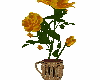 Roses in Coffee Cup