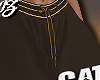 Cargo Cat Diesel <BR>