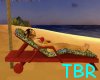 animal print beach chair