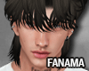 FA | Q - Brown B