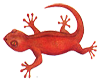 (KD) Lizard sticker