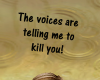 voices