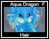 Aqua Dragon Hair F