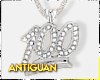 A 100 Silver Chain