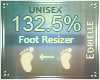 E~ Foot Scaler 132.5%