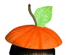Halloween Pumkin Hat
