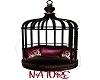 Legacy Birdcage Swing