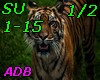SU1-15-Sumatra-P1