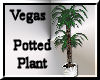 [my]Vegas Potted Plant