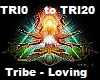 Tribe - Drum & Bass