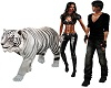 walking with tiger 2