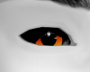 Hell cat eyes