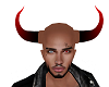 Bull horns
