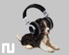 ☺S☺ New Puppy/Radio