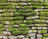 Old Stone Wall Mossy