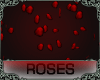 ![DS] ROSE BLESSING