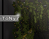 T-Jungle pics