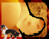 Shelt: Venus Tail Small