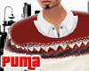 :::: Crew Jumper