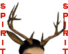 *S* Rudolph antlers