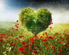 Flower Field Background