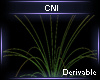 Derivable Plant V52
