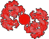 Red Dragon Circle