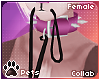 [Pets] Ailva | collar