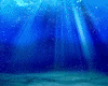 Deep Blue Sea Filler