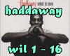 haddaway( what is love)