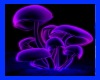 Magic Mushrooms Poster