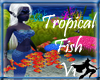 Tropical Fish V1