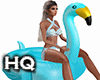 Pool Party / Flamingo //