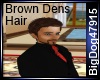 [BD] Brown Dens Hair