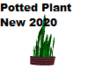 Potted Plant New 2020