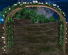 Moon Lighted Arch