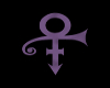 Prince Purple Rain Parka