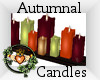 ~QI~ Autumnal Candles