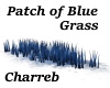 !Patch of Blue Grass