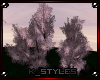 KS_Pure Lust SakuraTrees