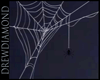 Dd-Animate Spider web