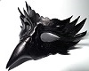 NRHTS Raven