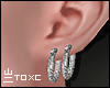 Tx Earrings R L