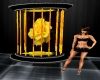 Yellow Rose Cage