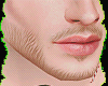 Beard Mh Blond