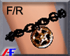 AF. BG Chain Brclt F/R