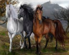 Quadro Sertanejo
