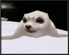 FroZeN Polar Seal
