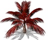small red palm